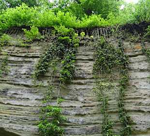 Stadtrundgang Überlingen