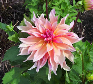 Eindrücke vom Rundgang durch den Park der Gärten