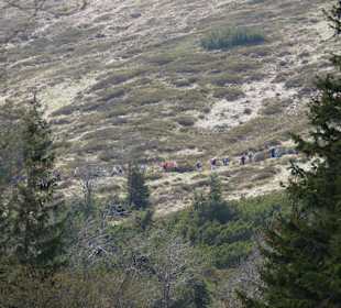 Berg Schneekoppe/Śnieżka