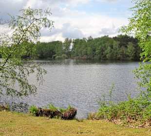 Eindrücke vom Rundgang um die Talsperre