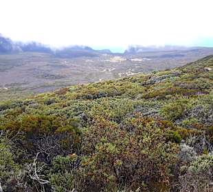 Wandern am Piton de la Fournaise