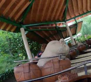 Erlebnispark Tripsdrill