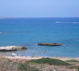 Strand 