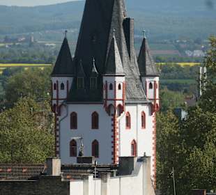 Blick von der Zitadelle auf Mainz