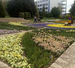 Botanischer Garten Baltschik
