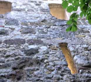 Burgruine Niederhaus