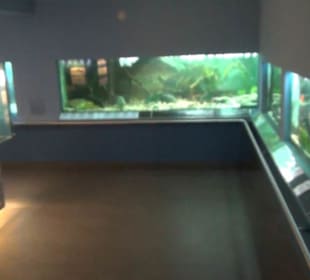 Naturkundemuseum