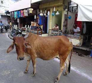 Auf dem Markt von Pushkar unterwegs