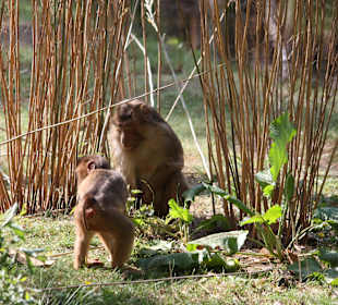 ZOOM Erlebniswelt Gelsenkirchen