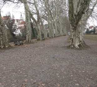 Silcher-Denkmal