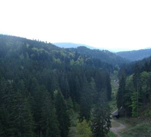 Blick Richtung Murgtal