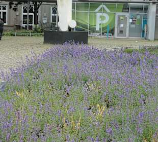 Die Plastik Vacanz in Magdeburg, Friedensplatz