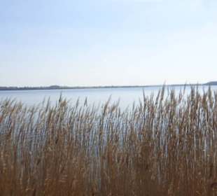 Eindrücke von unseren Priwallwanderungen