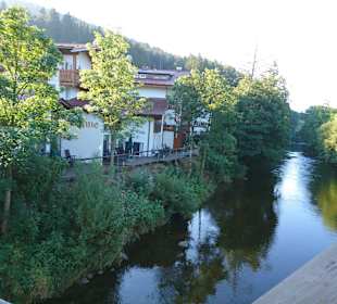 Wandern Bannwald Baiersbronn