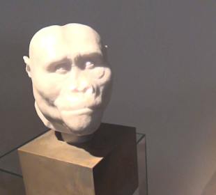 Entwicklung der Menschen