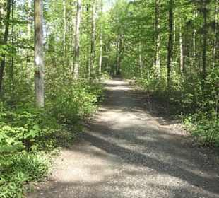 Wanderweg Hochgehwachsen