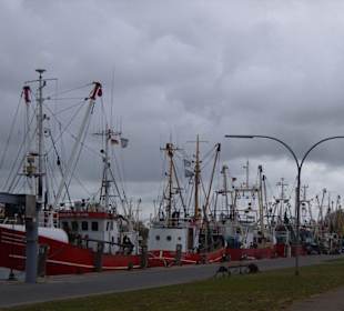 Die Kutter-Flotte in Büsum!