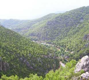 Mooi stukje natuurgebied