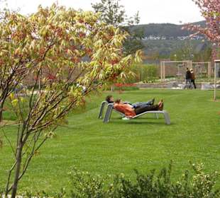 Landesgartenschau Bingen 2008