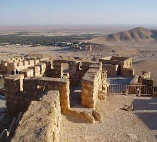 Palmyra
