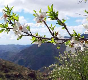Wanderung Roque Nublo 