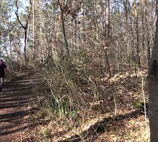 Hirschauer Spitzbergwegle (Premiumspazierwanderweg