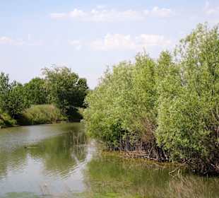 Das Ökoreservat am Lac de Villeneuve-de-la-Raho