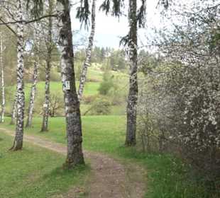 Martinsberg-Tour
