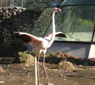 Zoo Liberec