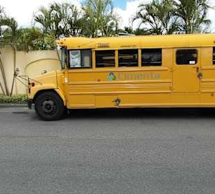 Tour & Ausflug Bayahibe