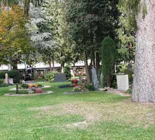 Friedhof Unter den Linden