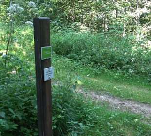 Premiumwanderweg "hochgesprudelt"