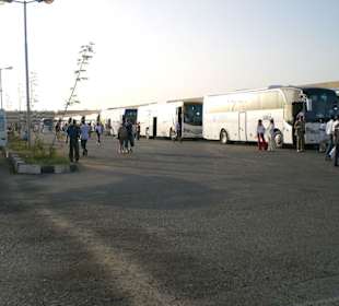 Sammelselle für Busse in Safaga