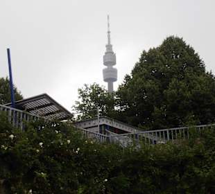 Rosenfest im Westfalenpark in Dortmund