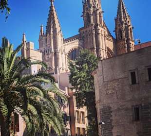 KATHEDRALE VON PALMA 