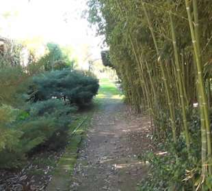 Gartenanlage - Botanischer Garten