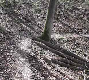 Wanderweg Hochgehkämpft