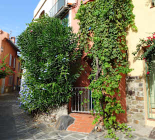 N den Gassen der Altstadt von Collioure