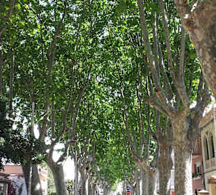 Stadtrundgang Pineda de Mar