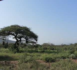 Tsavo West Nationalpark