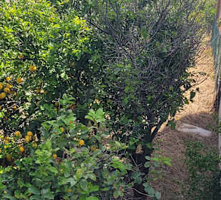 Wandern Gouves