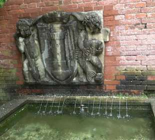 Baumlehrpfad Glacis Park