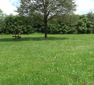 Spielplatz & Grillplatz Mandelberg