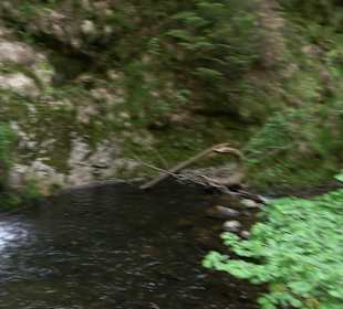 Wasserfälle Allerheiligen