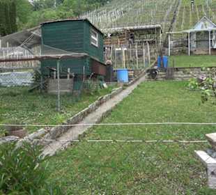 Naturinfopfad Weggental