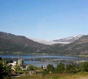 Immer wieder solche Anblicke