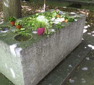 Grab des Minnesängers Walther von der Vogelweide??