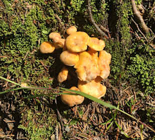 Wandern Balderschwang