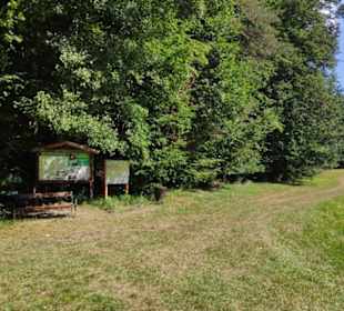 Willersdorfer Schluchende