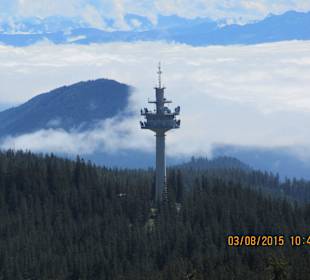 Morgendunst